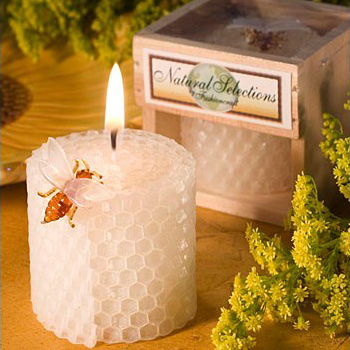 Children's Birthday Party Supp - Candle Supply 评论和价格